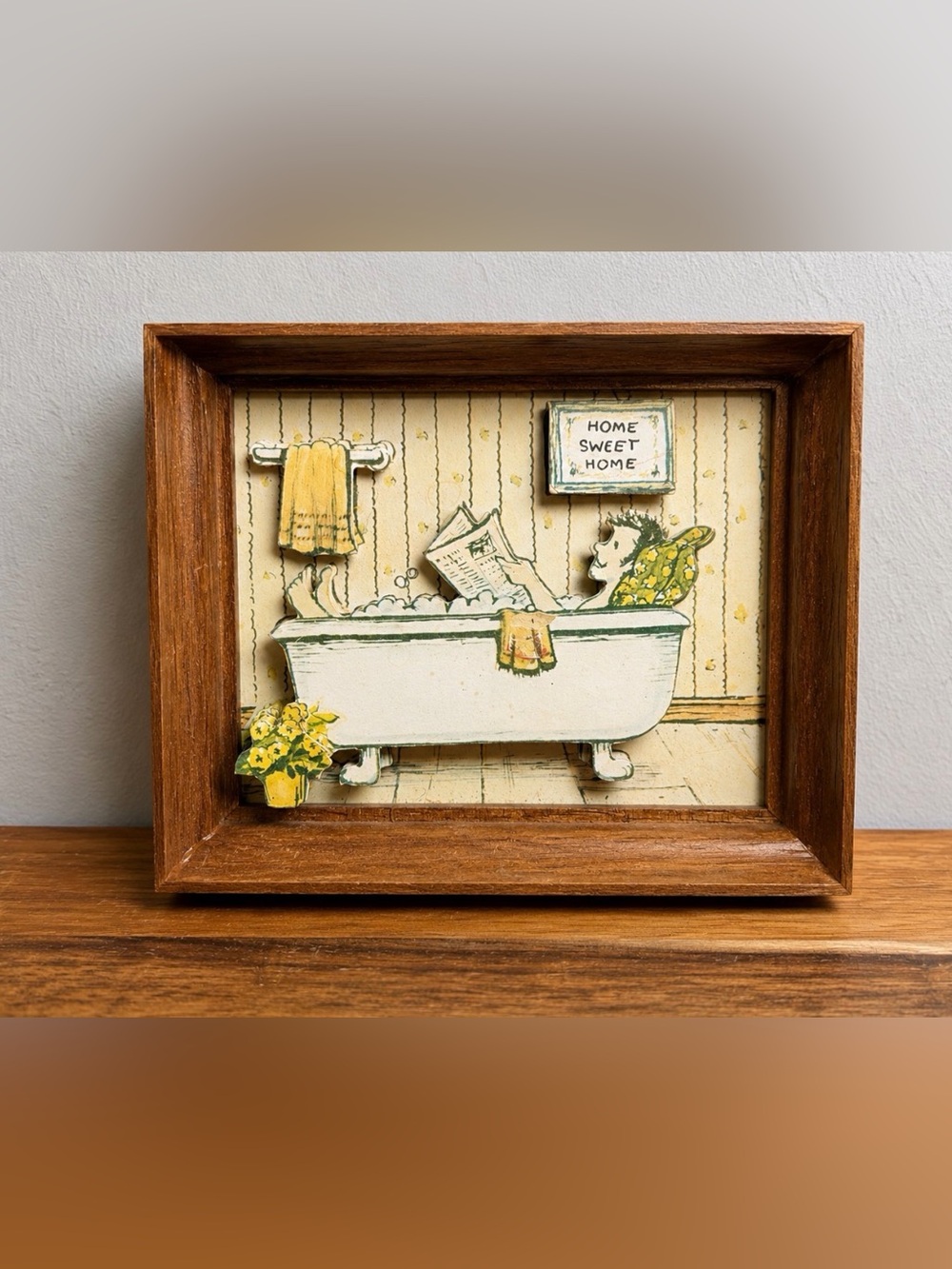 Vintage-1970s Sammy Bowen Shadow Box